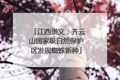 江西崇义：齐云山国家级自然保护区发现蜘蛛新种