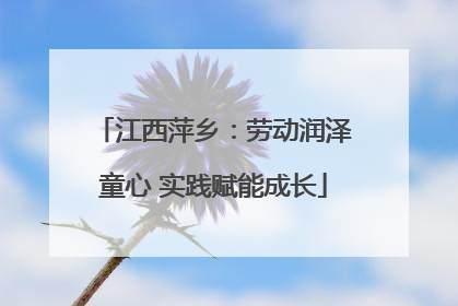江西萍乡：劳动润泽童心 实践赋能成长