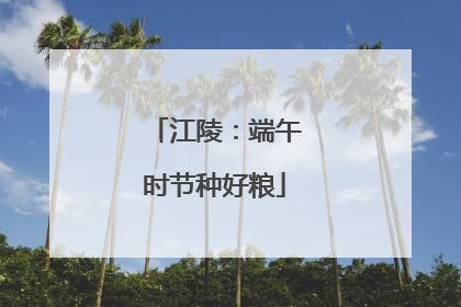 江陵：端午时节种好粮