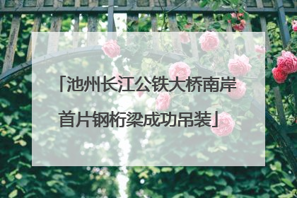 池州长江公铁大桥南岸首片钢桁梁成功吊装