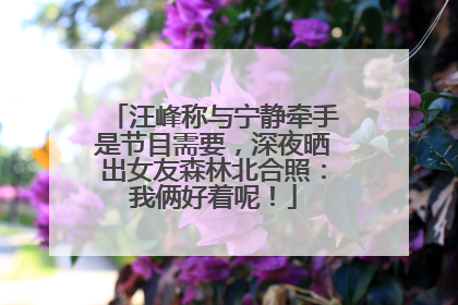 汪峰称与宁静牵手是节目需要，深夜晒出女友森林北合照：我俩好着呢！