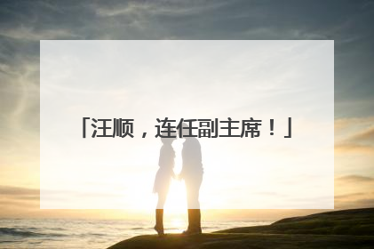 汪顺，连任副主席！
