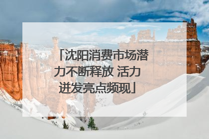 沈阳消费市场潜力不断释放 活力迸发亮点频现