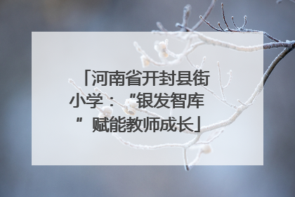 河南省开封县街小学：“银发智库”赋能教师成长