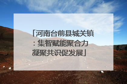 河南台前县城关镇：集智赋能聚合力 凝聚共识促发展
