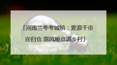 河南兰考考城镇：麦浪千重喜归仓 惠风暖意满乡村