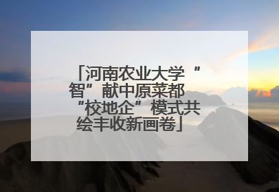 河南农业大学“智”献中原菜都 “校地企”模式共绘丰收新画卷