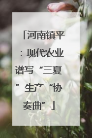 河南镇平：现代农业谱写“三夏”生产“协奏曲”