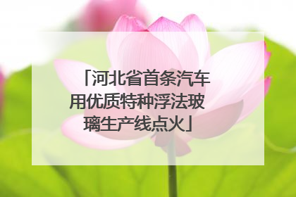河北省首条汽车用优质特种浮法玻璃生产线点火