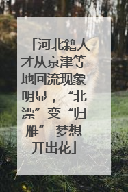 河北籍人才从京津等地回流现象明显，“北漂”变“归雁” 梦想开出花