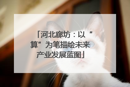 河北廊坊：以“算”为笔描绘未来产业发展蓝图