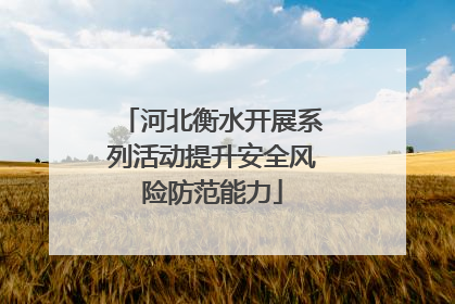 河北衡水开展系列活动提升安全风险防范能力