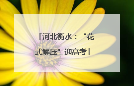 河北衡水：“花式解压”迎高考