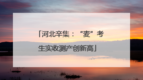 河北辛集：“麦”考生实收测产创新高