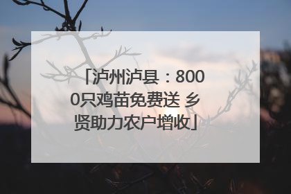 泸州泸县：8000只鸡苗免费送 乡贤助力农户增收
