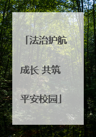 法治护航成长 共筑平安校园