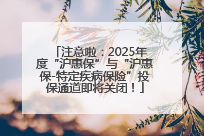 注意啦：2025年度“沪惠保”与“沪惠保-特定疾病保险”投保通道即将关闭！