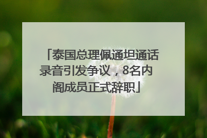 泰国总理佩通坦通话录音引发争议，8名内阁成员正式辞职