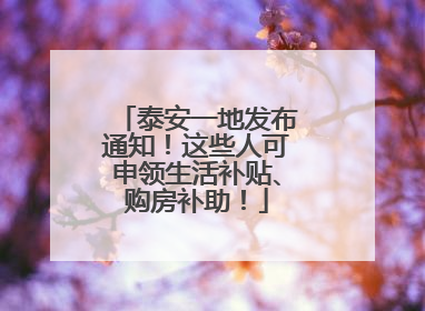 泰安一地发布通知！这些人可申领生活补贴、购房补助！