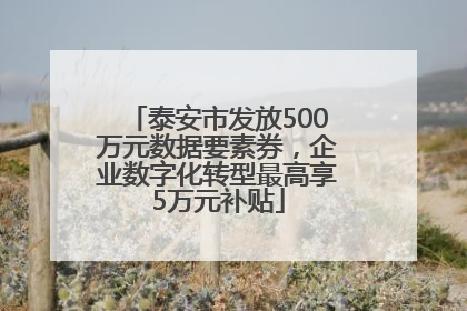 泰安市发放500万元数据要素券，企业数字化转型最高享5万元补贴
