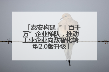 泰安构建“十百千万”企业梯队，推动工业企业向数智化转型2.0版升级
