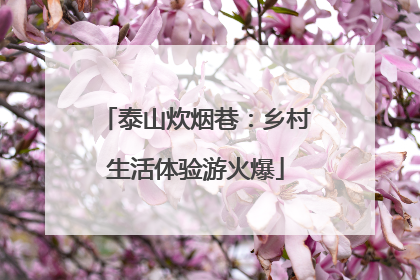 泰山炊烟巷：乡村生活体验游火爆