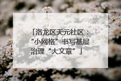 洛龙区天元社区：“小网格”书写基层治理“大文章”