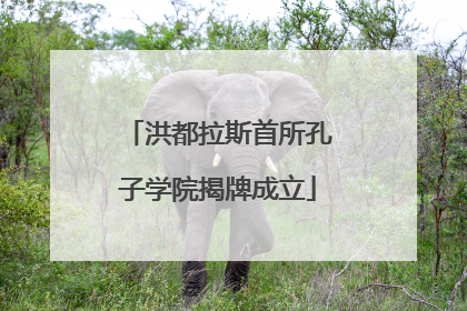 洪都拉斯首所孔子学院揭牌成立