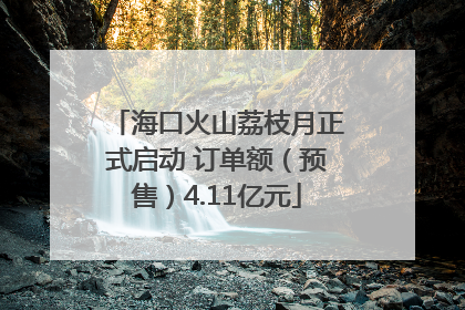 海口火山荔枝月正式启动 订单额（预售）4.11亿元