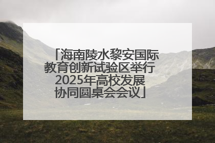 海南陵水黎安国际教育创新试验区举行2025年高校发展协同圆桌会会议