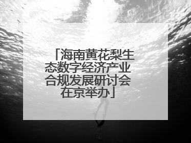 海南黄花梨生态数字经济产业合规发展研讨会在京举办