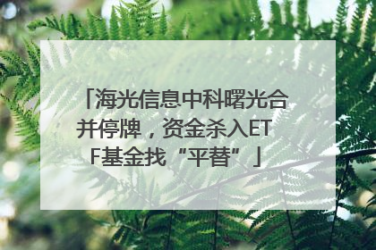 海光信息中科曙光合并停牌，资金杀入ETF基金找“平替”