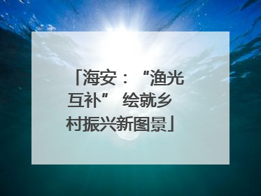 海安：“渔光互补” 绘就乡村振兴新图景