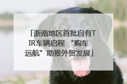 浙南地区首批自有TIR车辆启程 “购车远航”助推外贸发展
