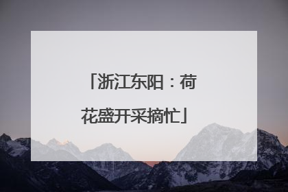 浙江东阳：荷花盛开采摘忙