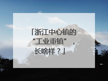 浙江中心镇的“工业重镇”，长啥样？
