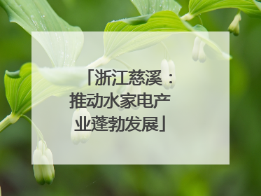 浙江慈溪：推动水家电产业蓬勃发展
