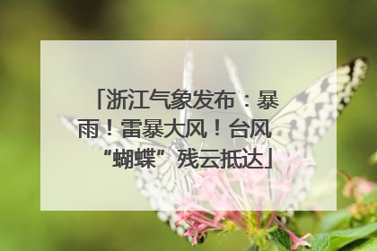 浙江气象发布：暴雨！雷暴大风！台风“蝴蝶”残云抵达