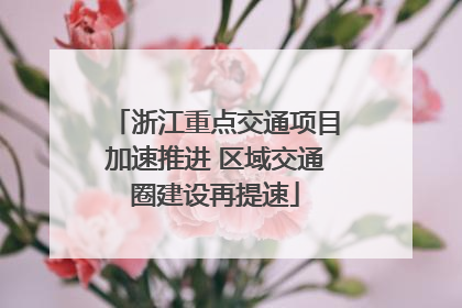 浙江重点交通项目加速推进 区域交通圈建设再提速