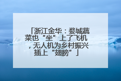 浙江金华：婺城蔬菜也“坐”上了飞机，无人机为乡村振兴插上“翅膀”
