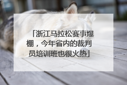 浙江马拉松赛事爆棚，今年省内的裁判员培训班也很火热