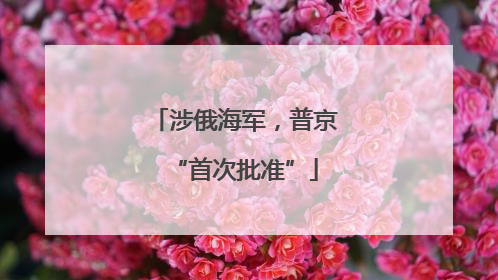 涉俄海军，普京“首次批准”