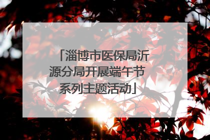 淄博市医保局沂源分局开展端午节系列主题活动