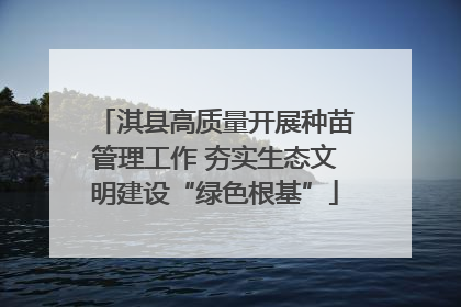 淇县高质量开展种苗管理工作 夯实生态文明建设“绿色根基”