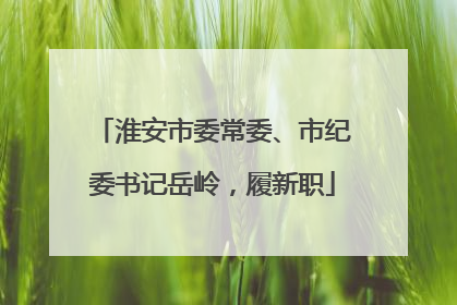 淮安市委常委、市纪委书记岳岭，履新职