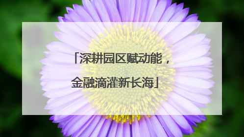 深耕园区赋动能，金融滴灌新长海