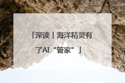 深读丨海洋精灵有了AI“管家”