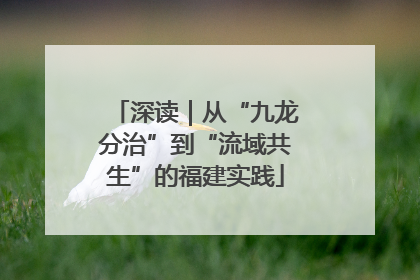 深读｜从“九龙分治”到“流域共生”的福建实践