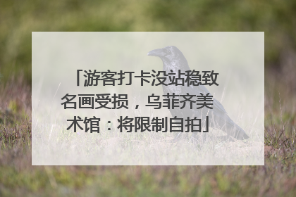 游客打卡没站稳致名画受损，乌菲齐美术馆：将限制自拍