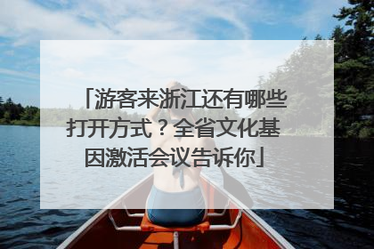 游客来浙江还有哪些打开方式？全省文化基因激活会议告诉你